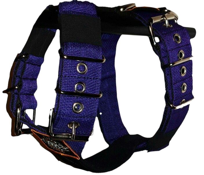 Collars Harnesses & Leashes